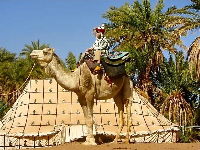 Hotel Dar Sidi Bounou M’hamid El Ghizlane Exterior foto